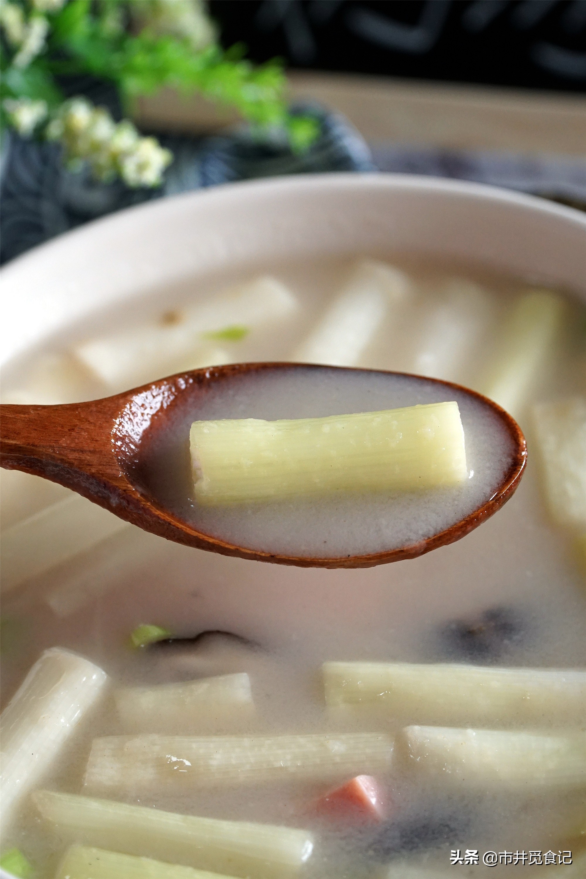 蒲菜,蒲菜圖片