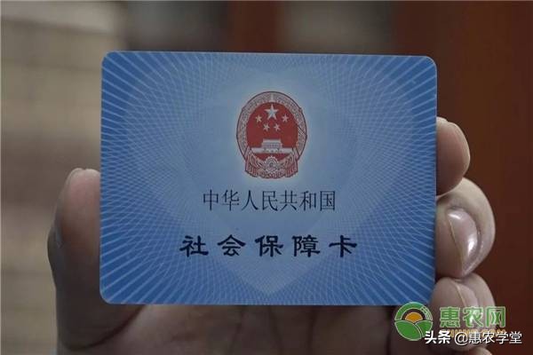 社保卡余额如何查询？这五个方法轻松查询