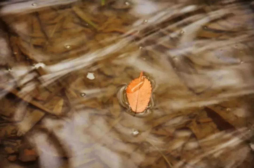 高清曝光！坐拥神仙颜值，山东最美“校花”就在这所大学里！