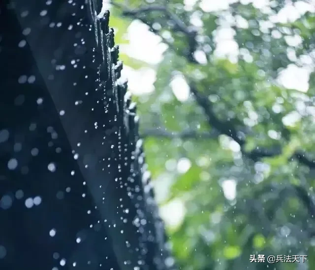 盛夏的味道|始于那一声声的蝉鸣。