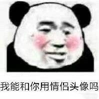 撩小姐姐的可爱表情包：你要不要接受我这个甜蜜的麻烦