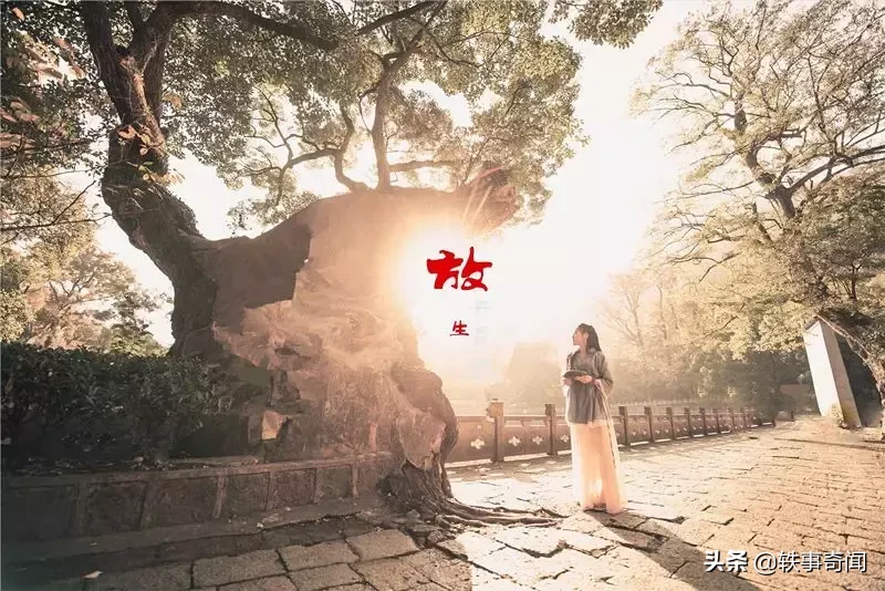 六大灵性动物,不可杀,不可食