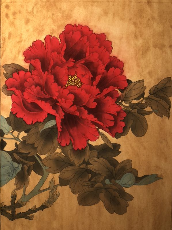 工笔画入门:教你6步画牡丹工笔画,简单易学,学会几分钟一幅画