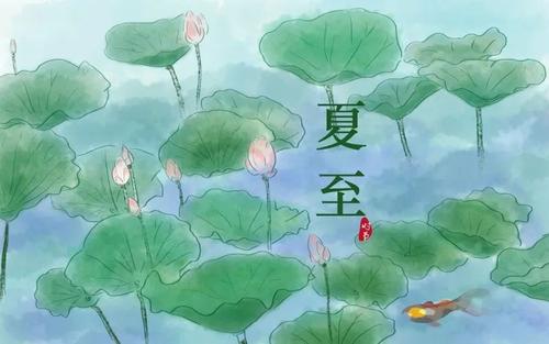 夏至话蝉：所有的等待，不仅是刹那绽放，而是充满期待和生生不息