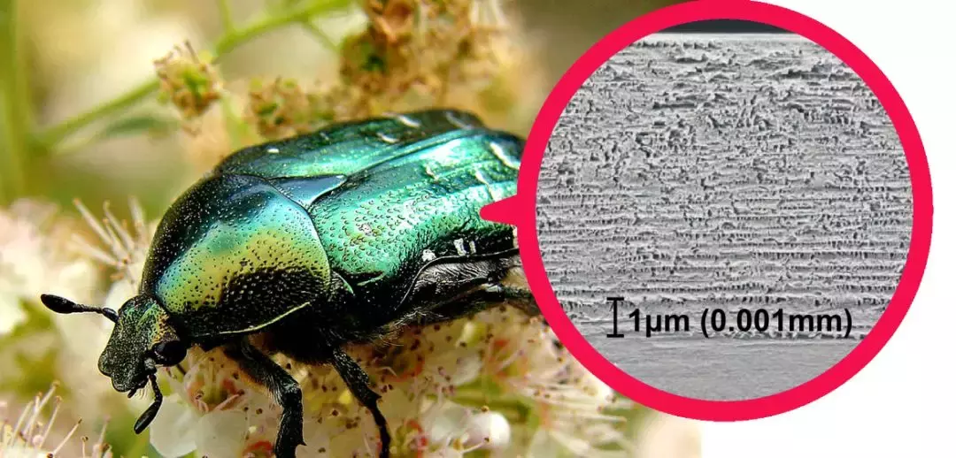 不用颜料，如何画出比芝麻还小的《蒙娜丽莎》？