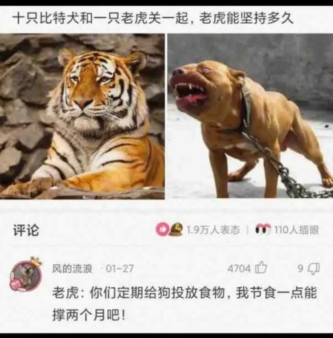 笑死我了，大叔狂刷100万的礼物，终于跟网红见了面，网友：不值