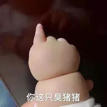 表情包：你这只臭猪猪