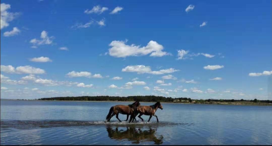 脱离中国多年的蒙古国，开始后悔了吗？