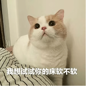 沙雕表情包：我想试试你的床软不软