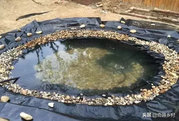 院子里应该有个小池塘，没有就自己动手挖个！（附实际操作图）