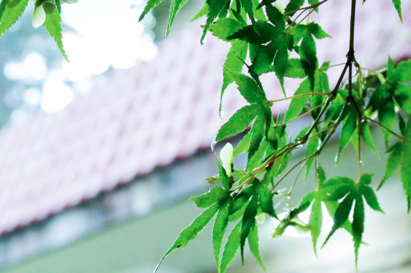 这3所大学是会计人的圣地，考进就是“金饭碗”，就业超稳定