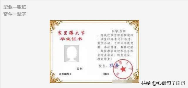 出生一张纸，死后一张纸；人生几十年，都是为了这些纸