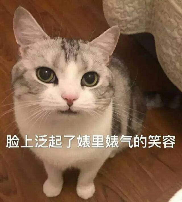 表情包：你给我乖一点