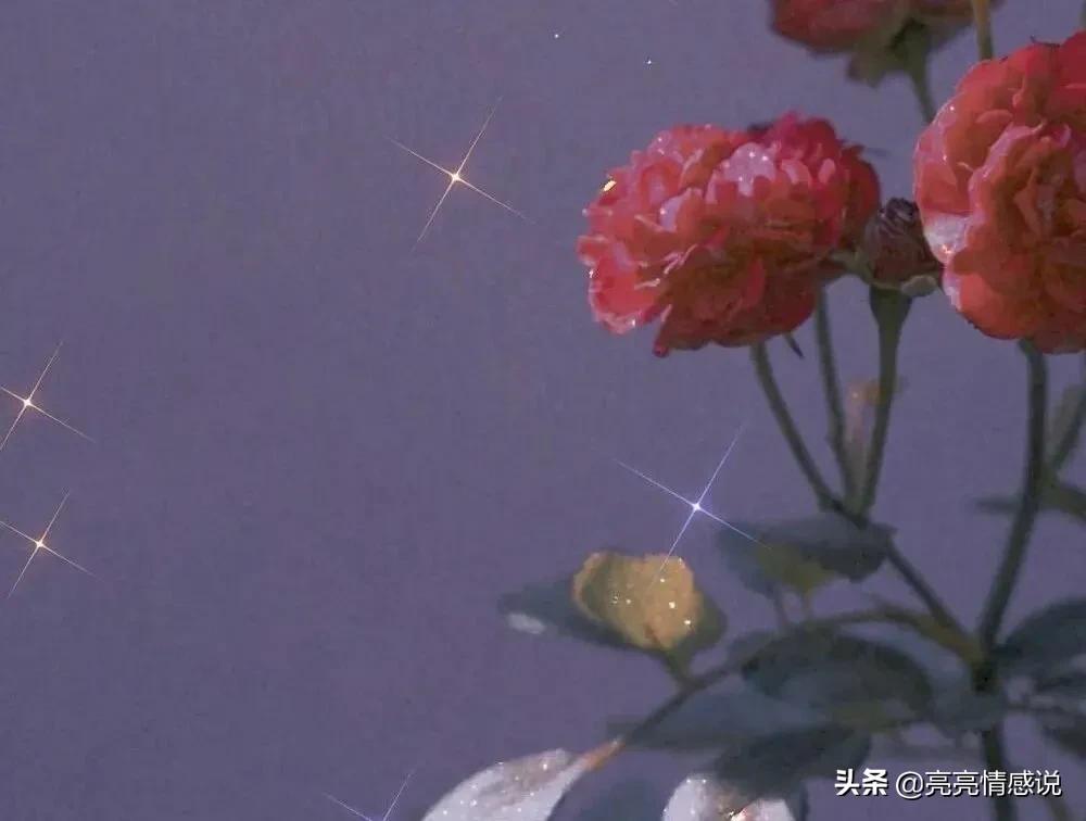 致暗恋：窗外下起了大雨，你没看我，我没看雨