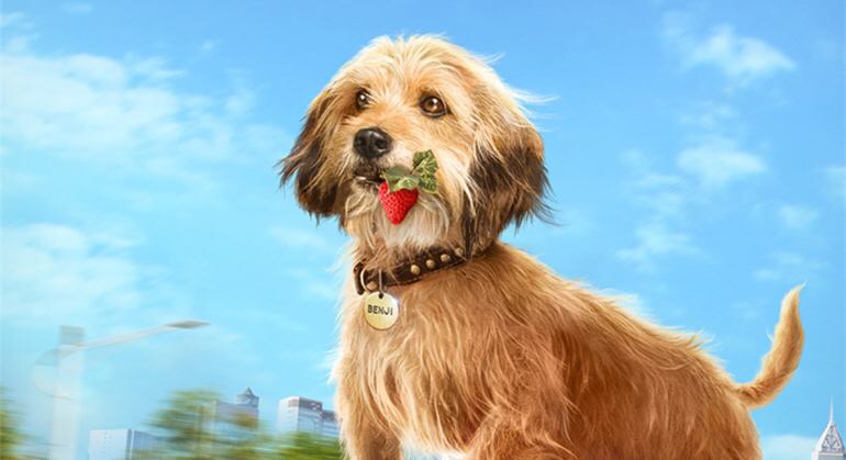 从剧情色彩,镜头构造,现实思考解读喜剧片《神探狗笨吉》的魅力