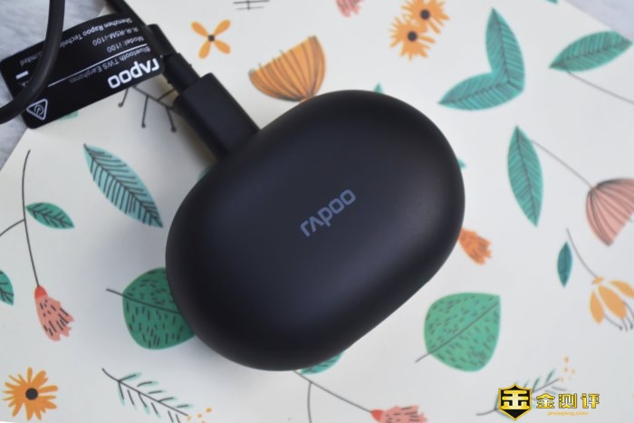 「金测评」雷柏i100TWS蓝牙耳机：百元耳机最酷价值