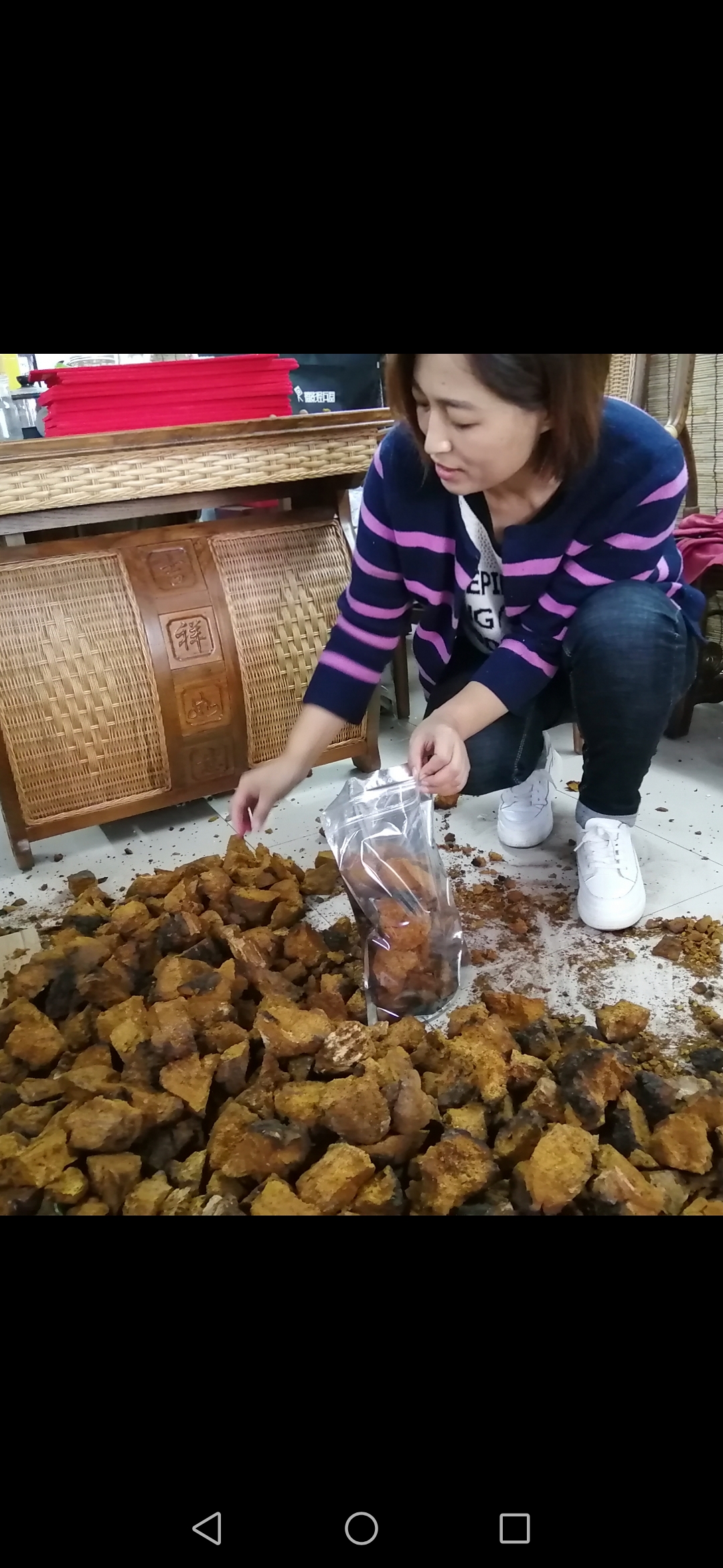 山妹子良心分享野生桦树茸的鉴别和使用方法