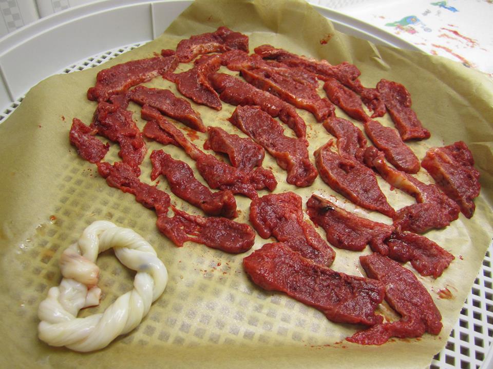 胎盘长什么样子图片(黑市上人体胎盘泛滥)