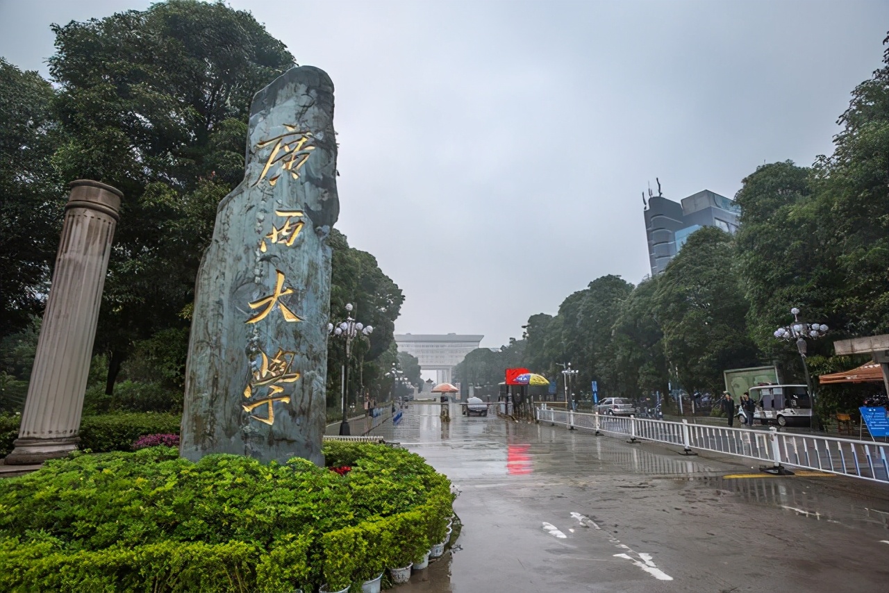 南方科技大学快速发展，内地高校排名第9，背后推动力是什么？