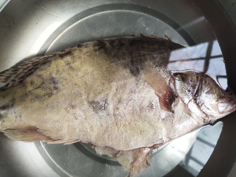 臭鱼的做法大全(臭鳜鱼闻着臭吃着香的家常做法)