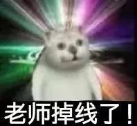 憨憨猫关于上网课的表情包合集｜我掉线了