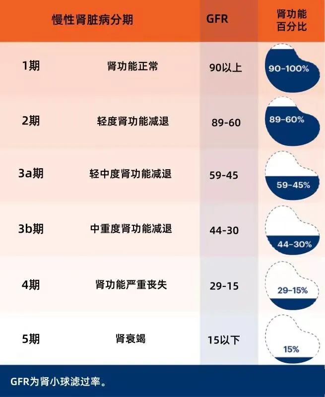 得了慢性肾病，看这11句大实话，为肾友们总结八大黄金原则