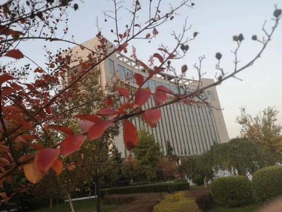 陕西最“豪华”大学之一！坐拥4大“网红”食堂，游泳馆、商业街一应俱全！