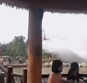 500w买的豪宅，被老婆装修成网红毛坯风，回到家就感觉还在工地上