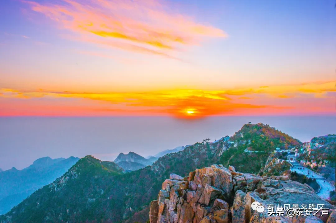 深秋泰山：一年好景君须记，最是橙黄橘绿时