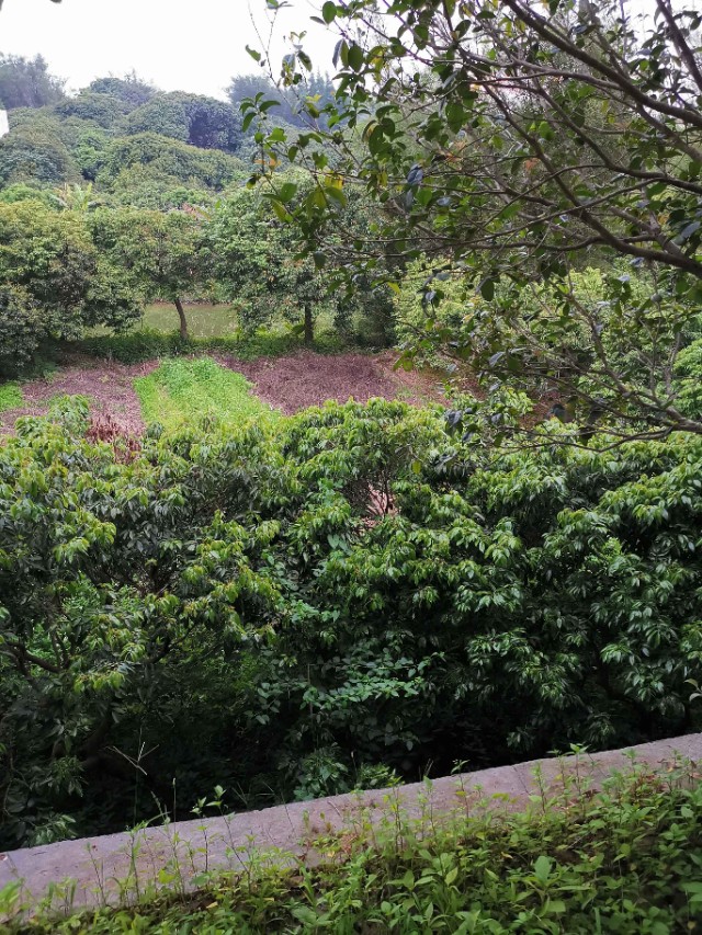 旅行印记：看到一片景，想起一句千古名言，还有木心老师一句话