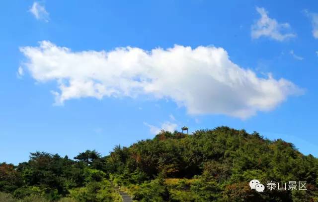 忆泰山之春，盼美好人间