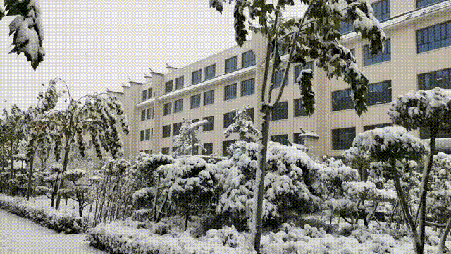 初雪中的开元学校，真美