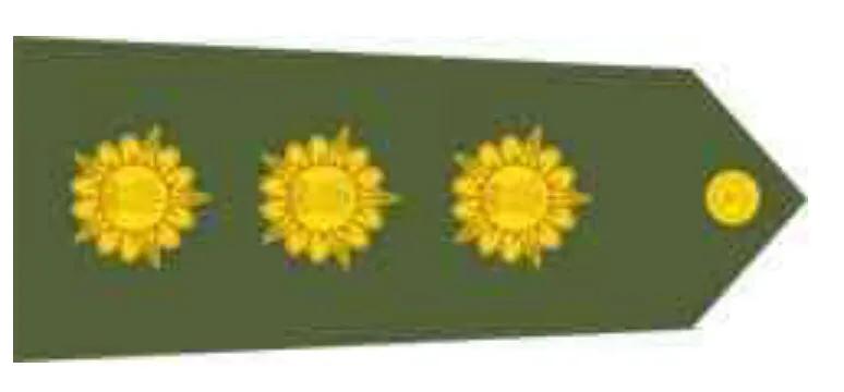 ӡ�Ⱦ��Ӿ��پ�����⣺��ʱ�����ҿ���һ�����֪ʶ��