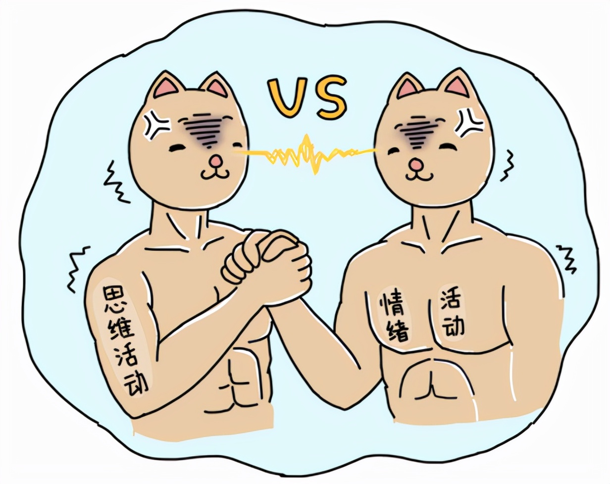 晋江文学城将开启分级制