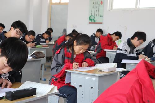 清华大学大一学生，2019年高考状元，分享高考备考经验干货