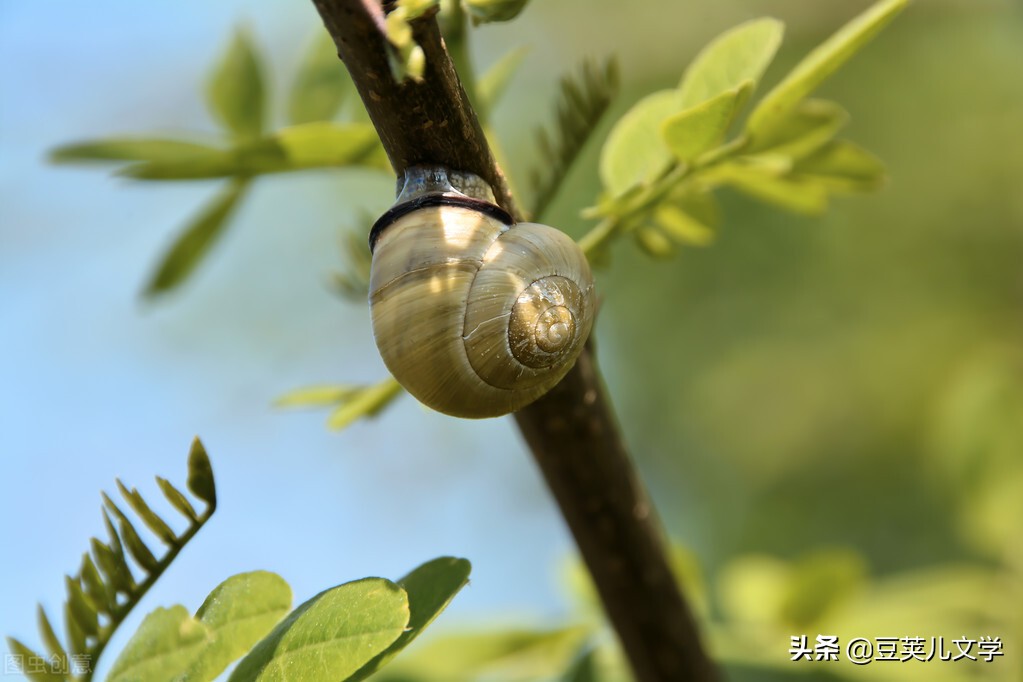 散文：我像只蜗牛一样走在路上