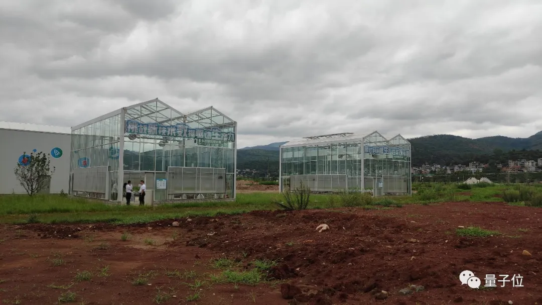 没想到,拼多多竟然想用AI种草莓给我吃
