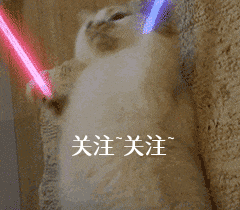 拉布拉多犬怎么训练比较好？这几招可以帮到你