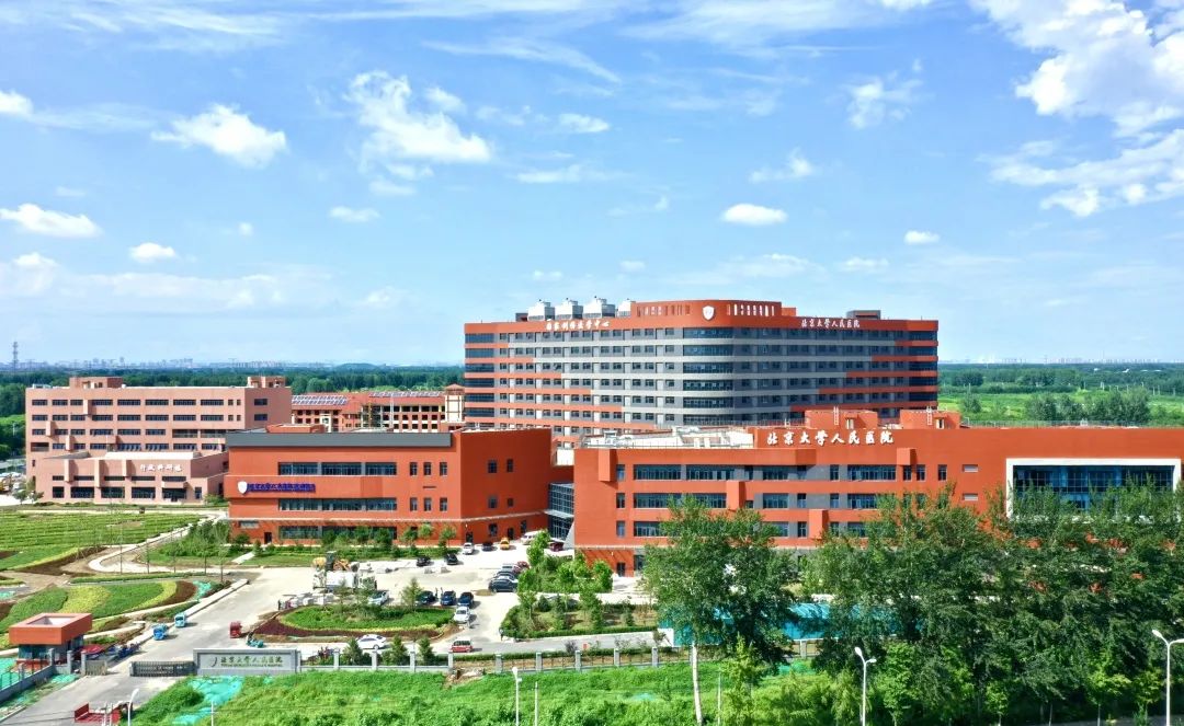 武清区即将全面起飞！2022年的武清人要身价暴涨啦