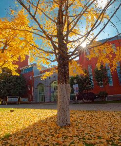 三中论剑 谁与争锋 | 昆明市第三中学第25届青年教师教学竞赛复赛