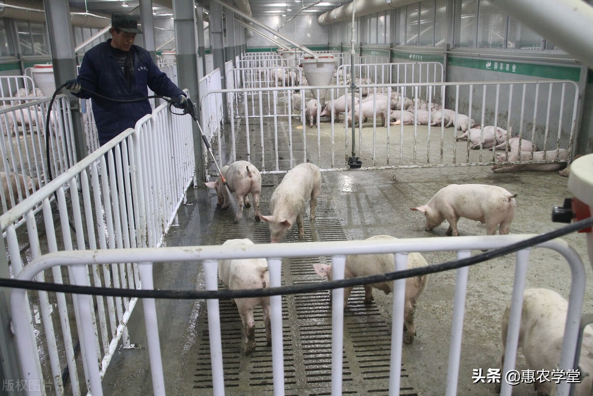 农村养殖什么时候有补贴？能补贴多少钱？申请条件是什么？