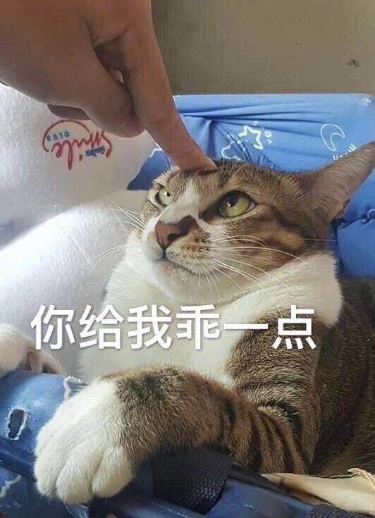 猫咪表情包25张｜我这一巴掌下棋你可能会死