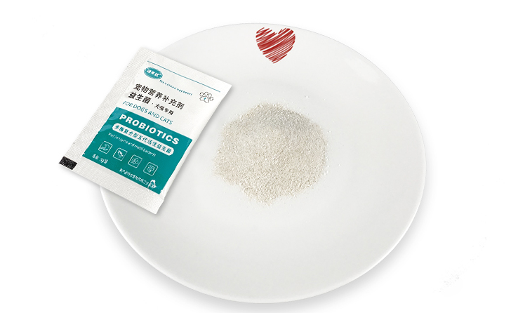 狗狗肠胃弱,如何挑选益生菌?