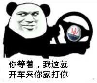 熊猫头关于开车的表情包