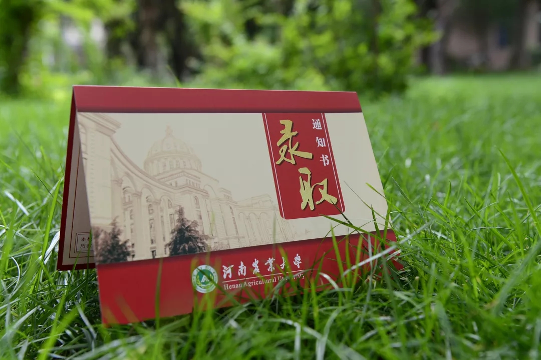 河南二本开始投档、录取啦！这些热点问题，还有通知书，建议看看