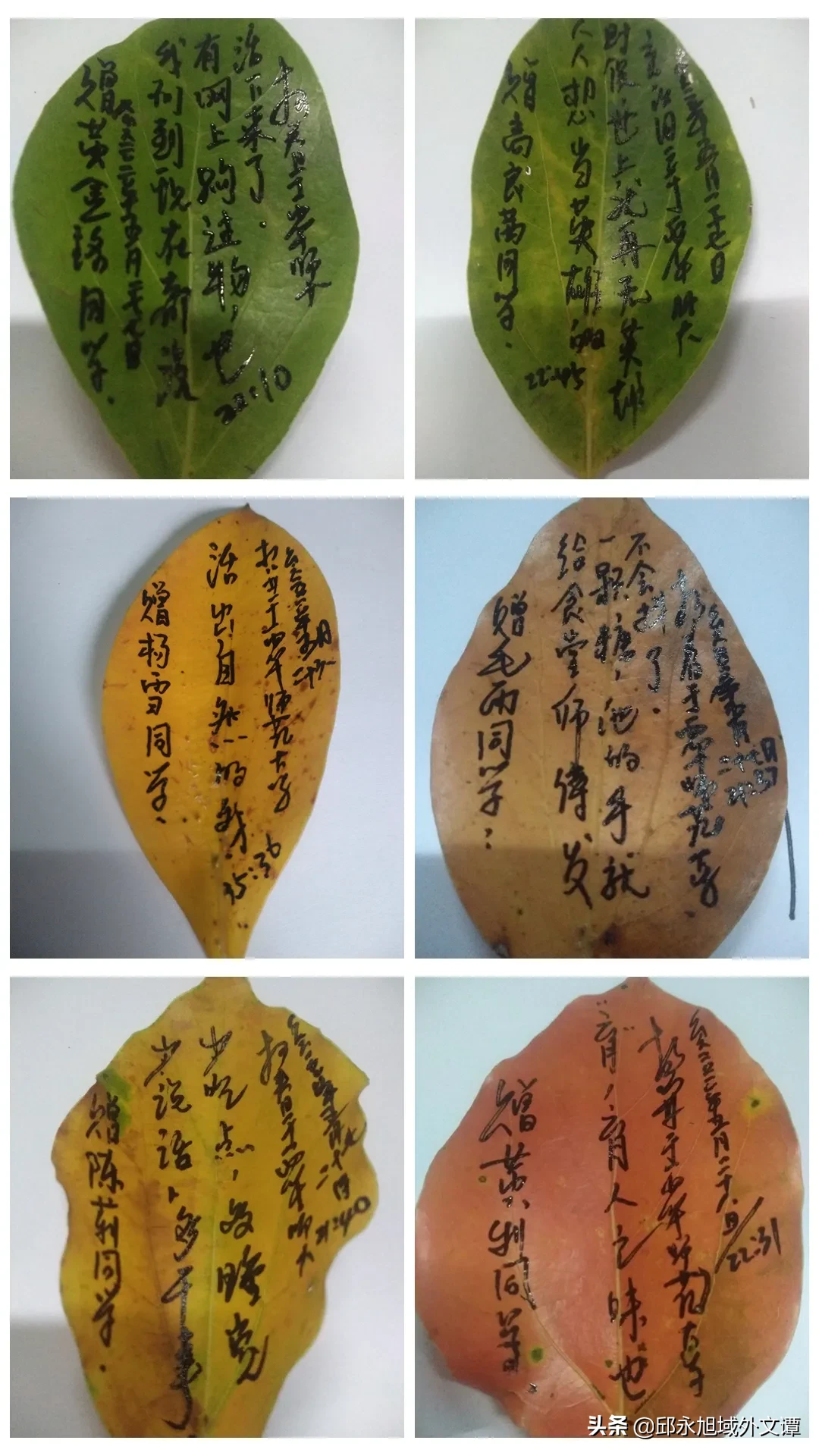 四川某高校班主任耗时2月自制357份毕业礼物，大学各有各的妖娆