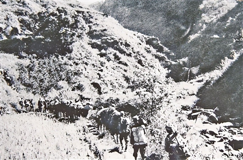 十大元帅1947年谁级别最高：林彪第三，贺龙第七，陈毅竟不如粟裕