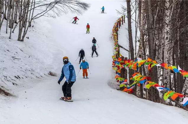 让世界感受中国味道，帅康厨电全面入驻北京冬奥村