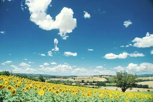 11首现代诗歌，静静的去聆听吧