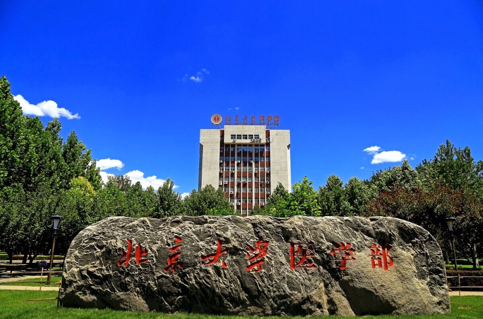 北京大学医学部和北京大学不是一个招生代码，拥有北京大学毕业证